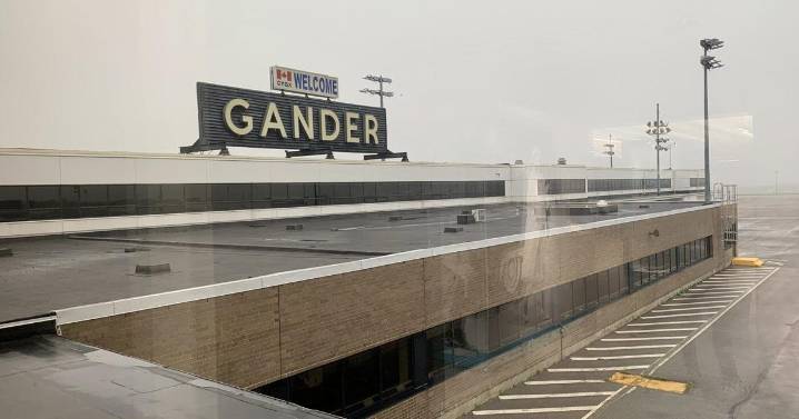 Airport warns about catfishing as people arrive to meet loved ones who don't exist