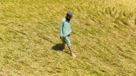 Maharashtra Govt Suspends Farm Loan Recovery In Rain