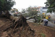 Van 38 mil 872 viviendas censadas en estados afectados por lluvias: Montiel