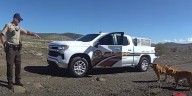 Yavapai County animal control officers rescue 2 abandoned dogs tied to bike