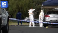 Homicide investigation underway after man's body found in Bega park