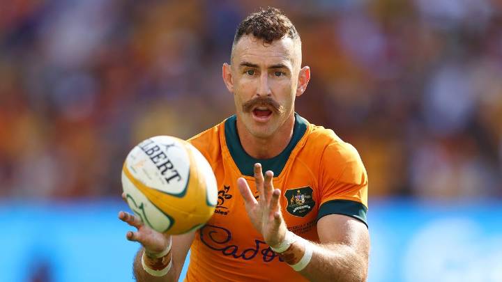 Bledisloe Cup: Wallabies great and Western Force scrum-half Nic White expects retirement to finally occur