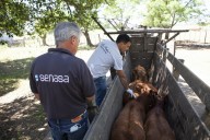 Rescataron a trabajadores rurales de Chaco que eran explotados en campos de Santa Fe