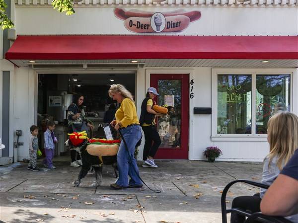 Photo Gallery: Halloween dog costume contest at O