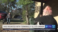 'It swelled my heart,' | Tyler woman reunited with dog missing for four months