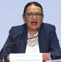 Bajar costo de las elecciones sin sacrificar principios, objetivo de la reforma electoral: Rosa Icela