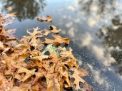 Dreary days linger ahead of a windy & cold Wednesday