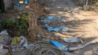 Detienen a una mujer tras encontrar un perro muerto y otro en estado crítico
