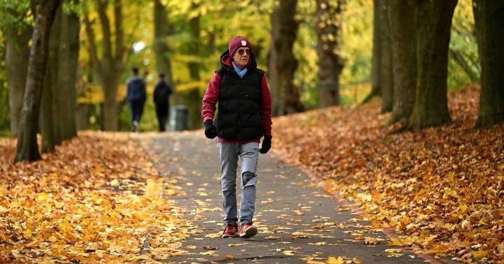 One long walk or shorter strolls? Scientists reveal which is better for your heart
