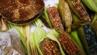 Suben 25% los precios de garantía del maíz en Guanajuato, Jalisco y Michoacán