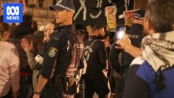 Protesters restrained at snap pro-Palestinian rally at Sydney Town Hall