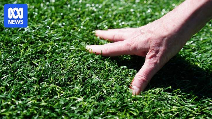 Council wants to ban artificial grass on nature strips over microplastics and PFAS concerns