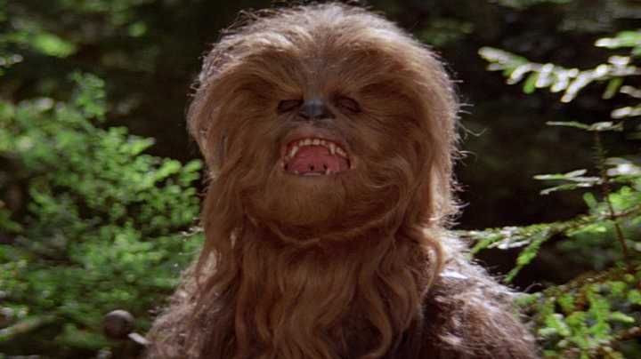 Why Star Wars' Crew Was Seriously Worried About Peter Mayhew's Safety As Chewbacca