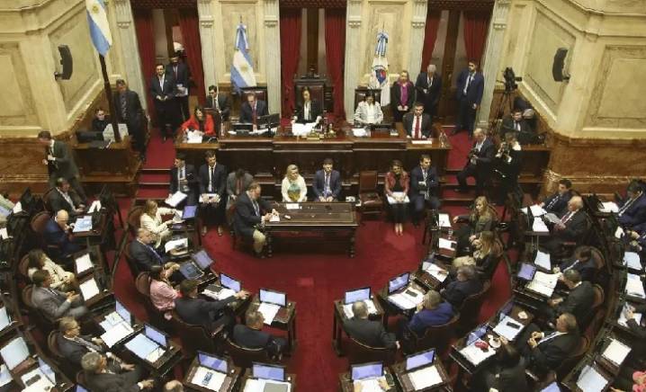 Senado: se tratan los vetos a las leyes de Financiamiento Universitario y Emergencia Pediátrica