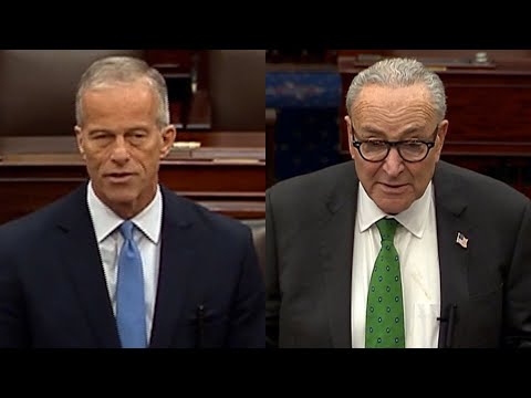 Thune raises concerns about workers missing paychecks, Schumer calls SNAP freeze "callous"