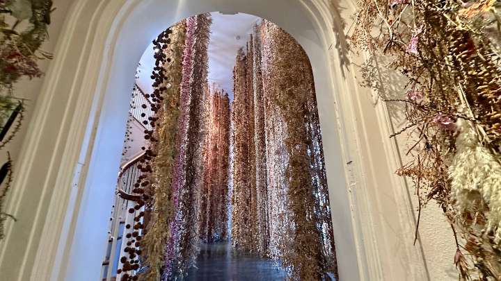 Alive or preserved, flowers reign at Selby Gardens