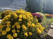 What’s happening in the Mid-Hudson Valley: Oct. 3, 2025