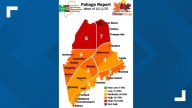 Foliage report: Northern Maine reaches peak foliage amid vibrant autumn hues