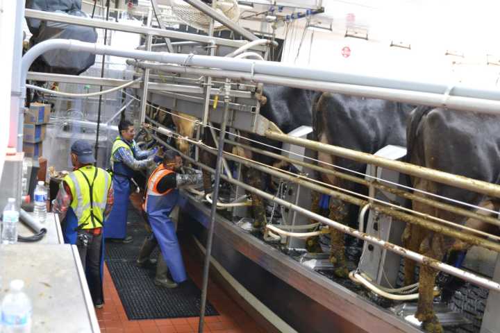 International commission to review North Dakota dairy projects