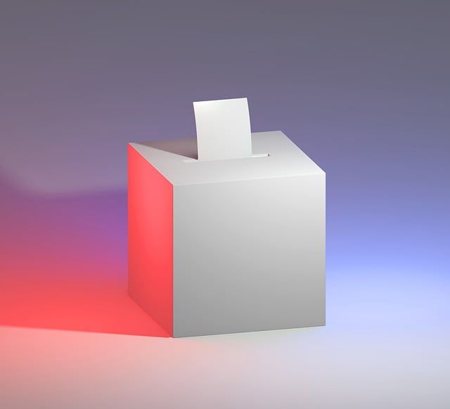 7 consejos prácticos para no caer en la desinformación electoral