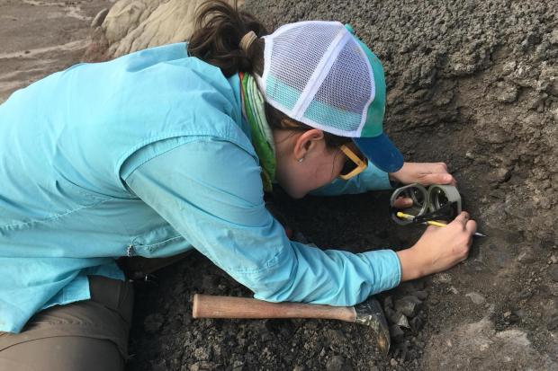 Dinosaurs were thriving in North America before the mass-extinction asteroid strike, study suggests