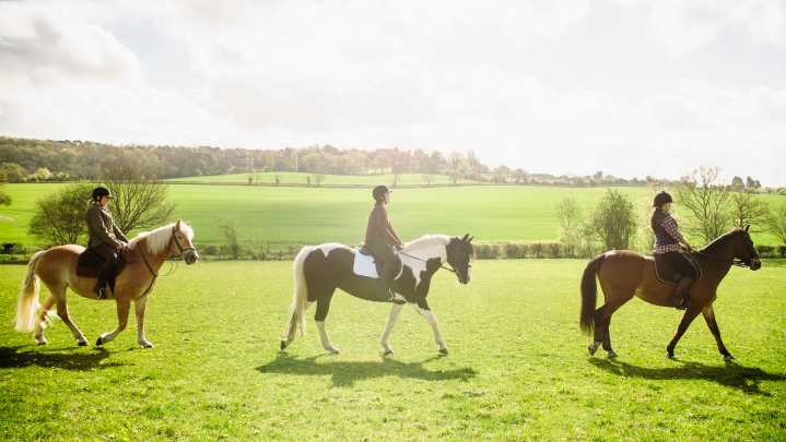 How the menopause affects horse riders and how to cope