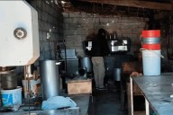 Detectaron 13 casos de triquinosis y clausuraron un frigorífico por faenamiento ilegal