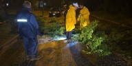 Techos volados y árboles caídos: los destrozos que dejó el avance de la tormenta en la provincia de Buenos Aires