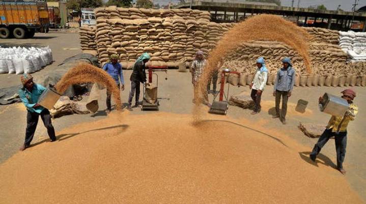 Centre hikes wheat MSP by Rs 160 to Rs 2,585 per quintal; rabi procurement target 297 LMT