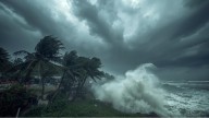 Cyclone Montha: Andhra govt prepares action plan for relief, essential supplies