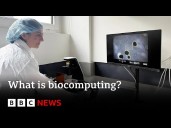 What is biocomputing?