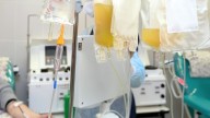 Bhopal News: Two Arrested For Stealing Plasma From AIIMS Blood Bank