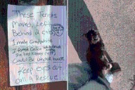 Heartbreak Over Note Taped to Door As Tenants Move