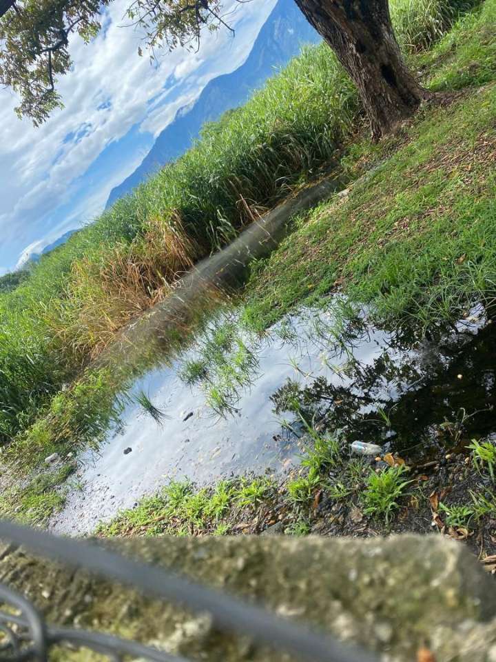 Laguna de aguas negras perjudica a vecinos de la UD