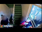 Chicago homeowner rips 'FRIGHTENING' immigration raid targeting workers on PRIVATE PROPERTY
