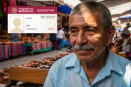 ¿Tienes 60 años o más? Tramita tu tarjeta INAPAM, aquí te decimos el paso a ...