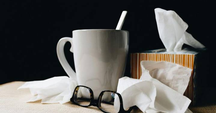 Flu vaccine recommended for West Virginians 6 months and older this fall