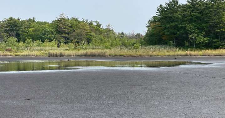Weekend rain expected to help but not solve NH’s drought