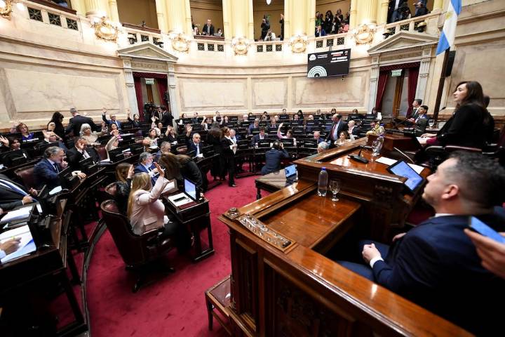 Senado: la oposición logró quórum y buscará anular los vetos de Milei a las leyes de financiamiento universitario y de fondos para el Garrahan