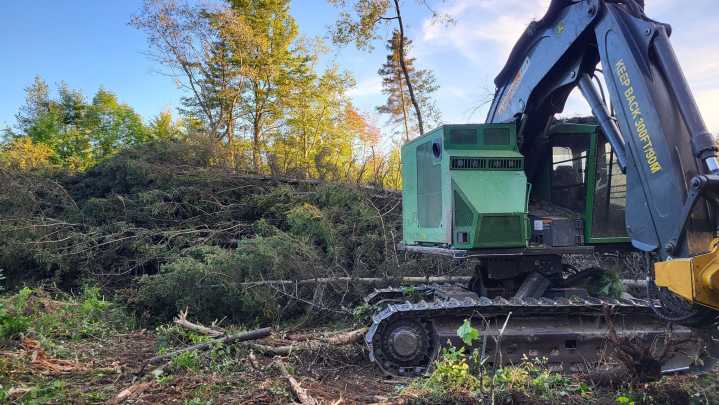 How new 'slash walls' help forest managers save landscapes from deer