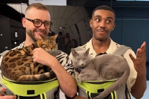 Why you shouldn’t travel with your pets