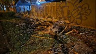 Un fuerte temporal de viento azotó a San Martín de los Andes y provocó caída de árboles y voladura de techos