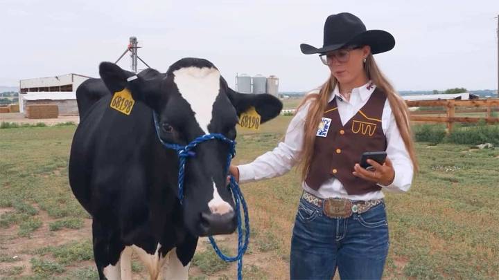 Live Cow, Student-Athletes Star In University Of Wyoming Dairy NIL Deal
