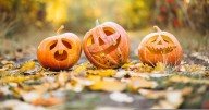 Pumpkin designs costing £1500 as demand soaring higher than ever due to Instagram