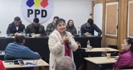 Acusa falta de apoyo de la mesa nacional: diputada Marzán renuncia a la presidencia regional de Valparaíso del PPD