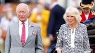 Why Queen Camilla's push for a grand new library in Buckingham Palace's $750 million renovation is said to be 'irritating' King Charles III 'beyond belief'