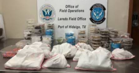 Pythons, tarantulas among 163 exotic creatures seized from Toyota truck at U.S.