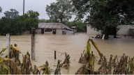 México acelera atención y recuperación tras fuertes precipitaciones