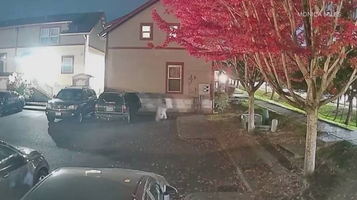 Burglars ransack woman's home in Tacoma