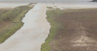 Tras las lluvias, las presas de Sonora superan el 35% de almacenamiento